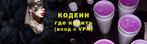 ПСИЛОЦИБИНОВЫЕ ГРИБЫ Вяземский