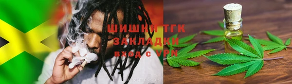 ПСИЛОЦИБИНОВЫЕ ГРИБЫ Вяземский