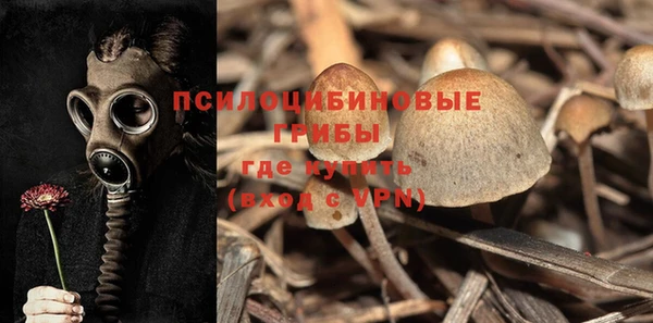 спайс Вязьма