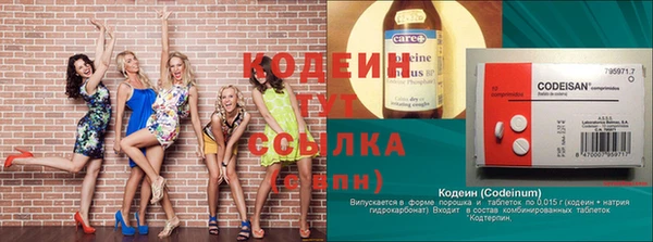 ПСИЛОЦИБИНОВЫЕ ГРИБЫ Вяземский